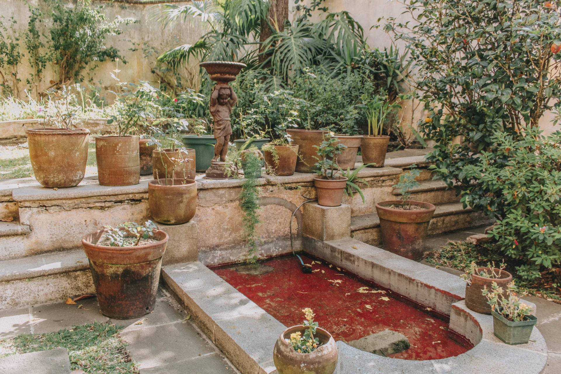 Casa Carmel outdoor garden patio